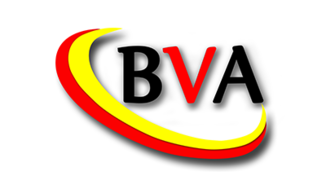 Logo Belgian-Vietnamese Alliance