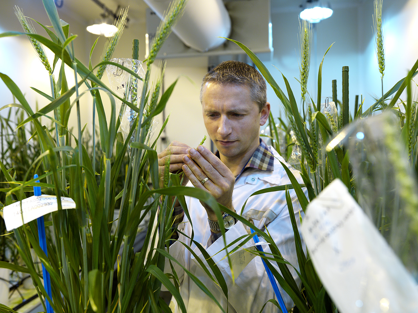 Research at Bayer, Biotech Valley Ghent