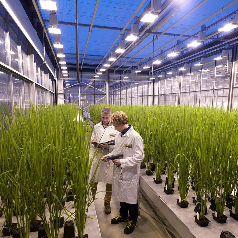 Research at Bayer Crop Science, Ghent