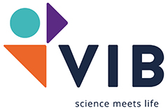VIB company logo